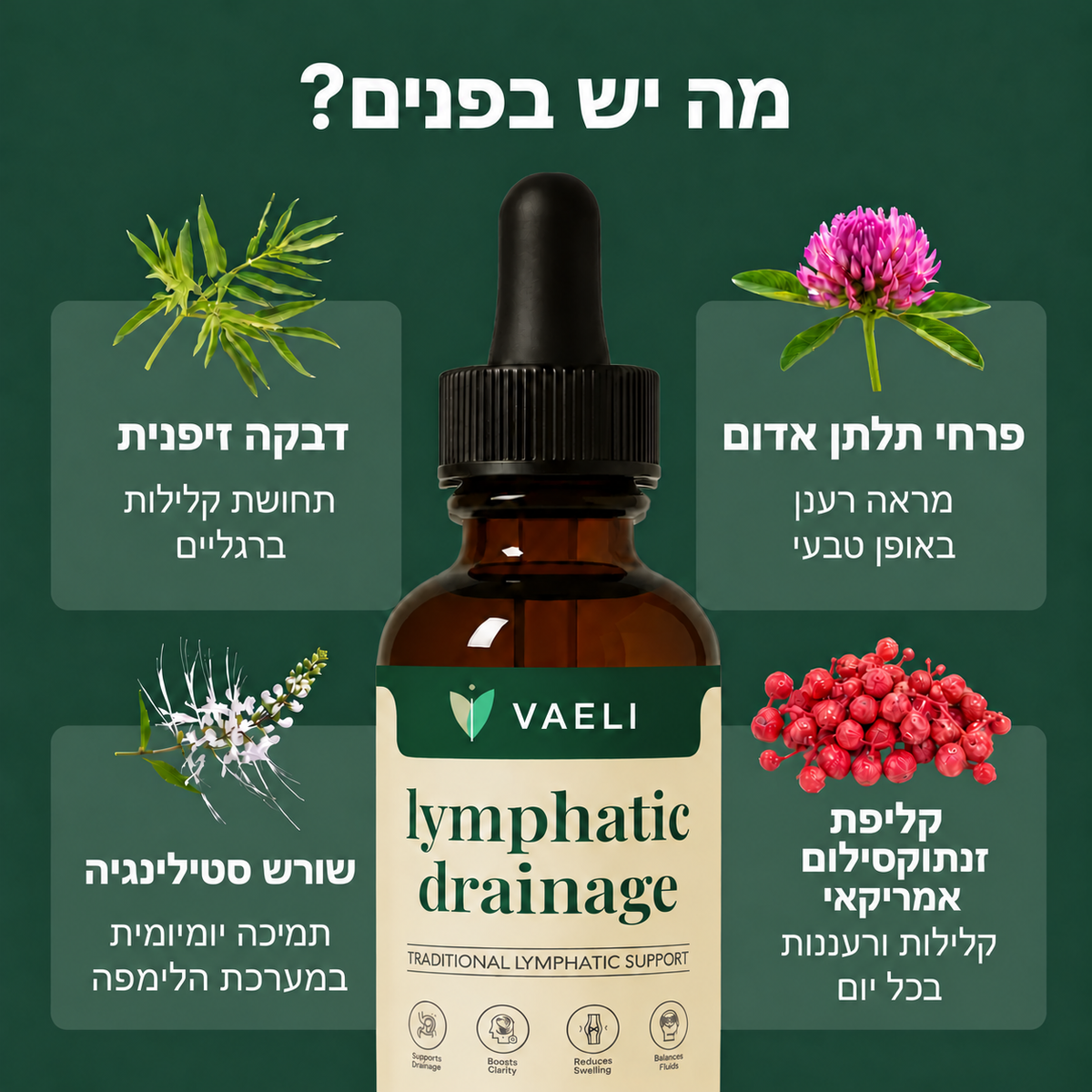 VAELI — טיפות לניקוז לימפטי