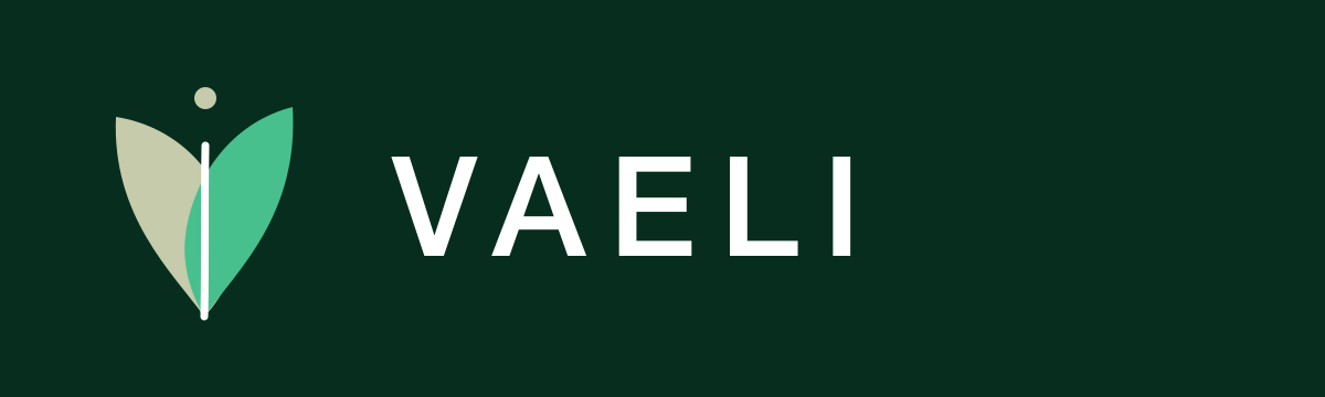 Il.vaeli.shop